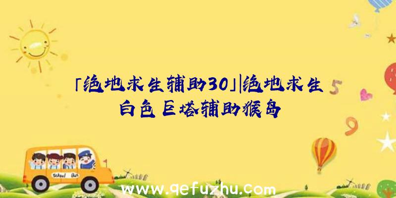 「绝地求生辅助30」|绝地求生白色巨塔辅助猴岛